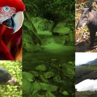 biodiversidad fondo